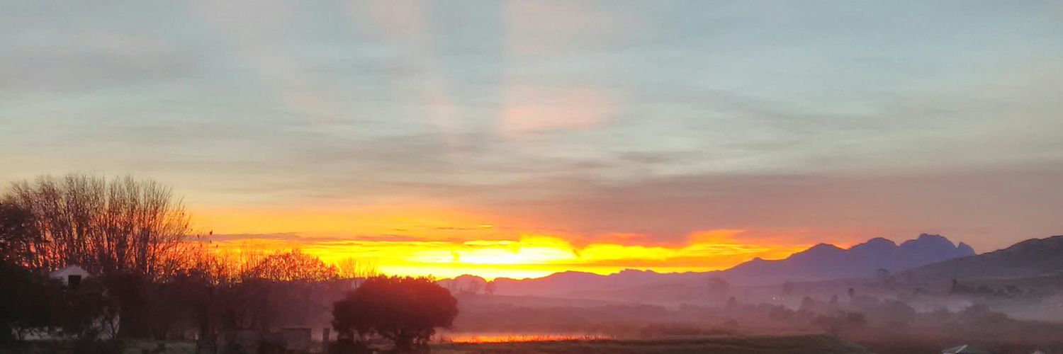 Clarise Sciocatti banner