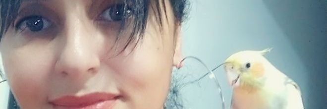 Paulaestelar's profile banner image