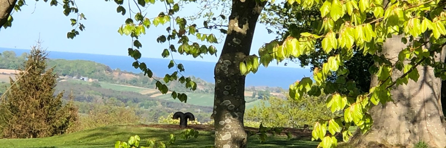 Bananange's profile banner image