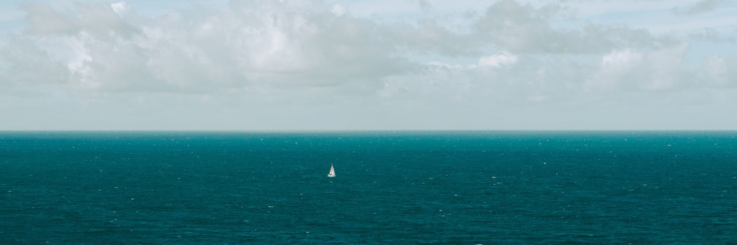 Johannes Jungilligens banner