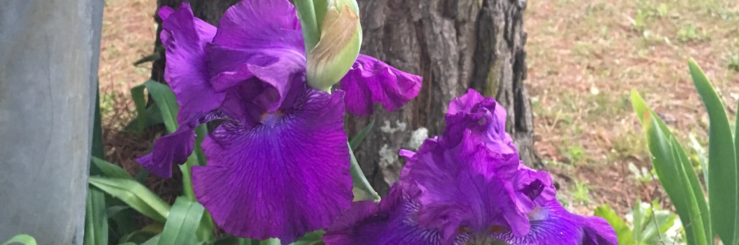 CJsMom10's profile banner image