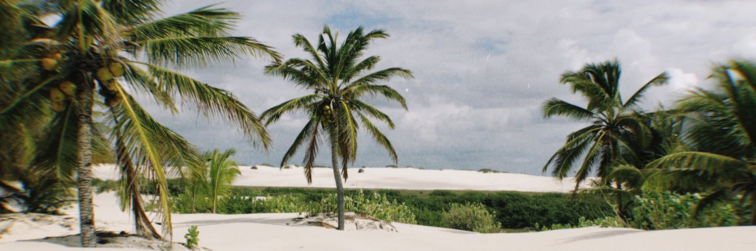terraquea8's profile banner image