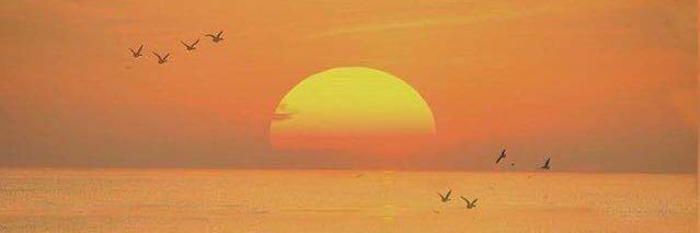 a_S_f_E's profile banner image
