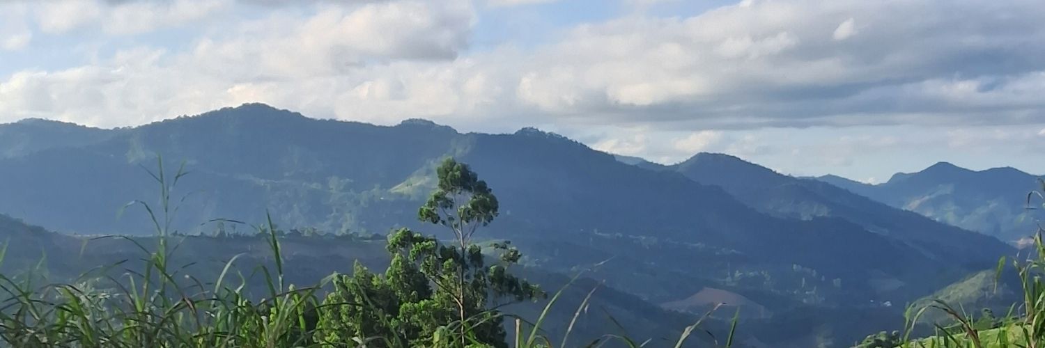 laranja banner
