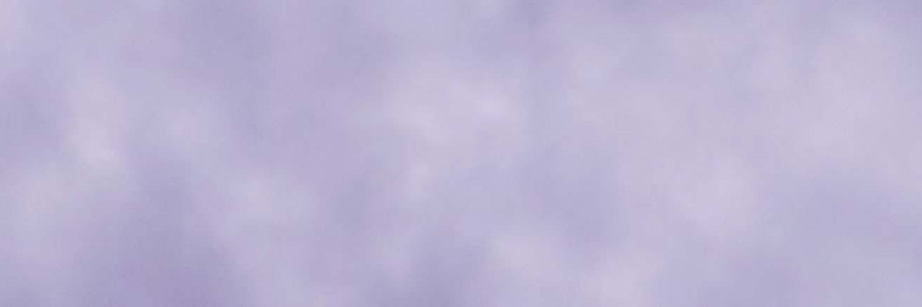 L | 100% banner