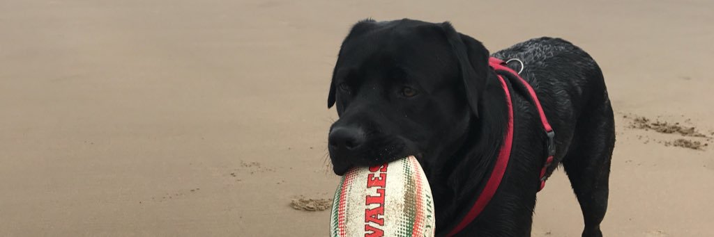 LauraMogz's profile banner image