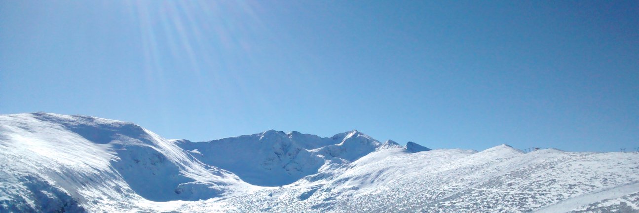 Peter Dotchev banner