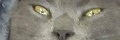 AaronLHB's profile banner image