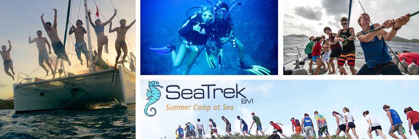 SeaTrek BVI banner