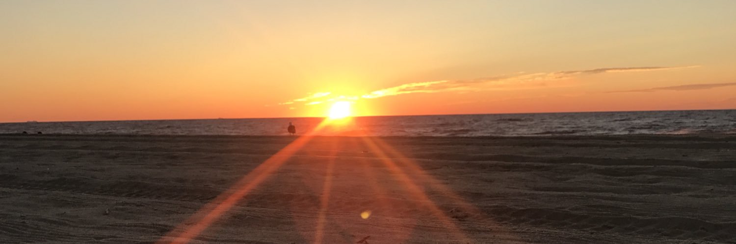 michelle_lowski's profile banner image