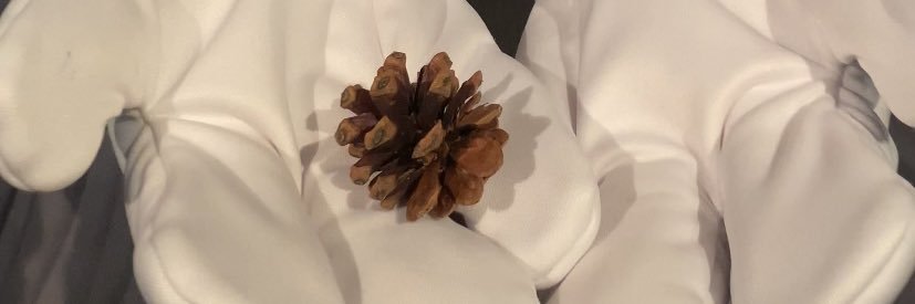 🖤🤍🫰🏻MisaMickeyNicholas🫶🏻❤️💛 banner