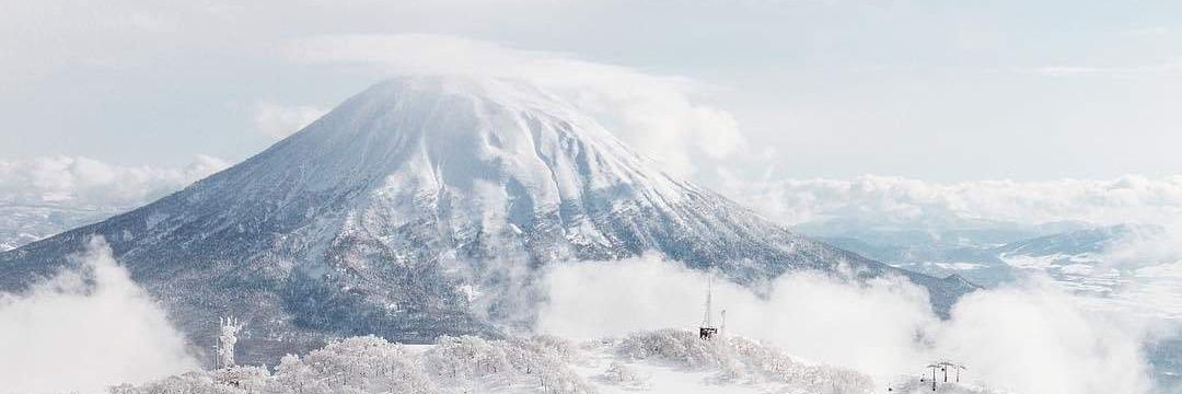 tottoko_h's profile banner image