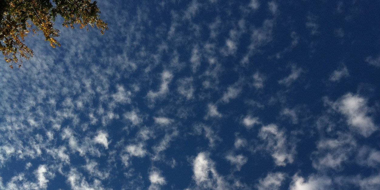 Constanza Cale banner