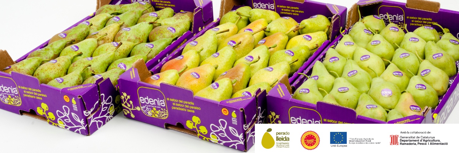 DOP Pera de Lleida banner