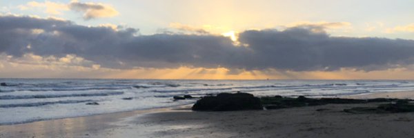 VennerAmanda Profile Banner