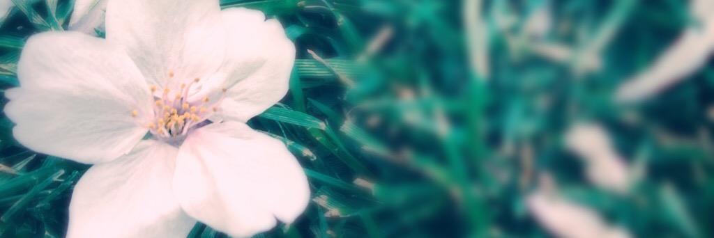 Sa_To_E's profile banner image