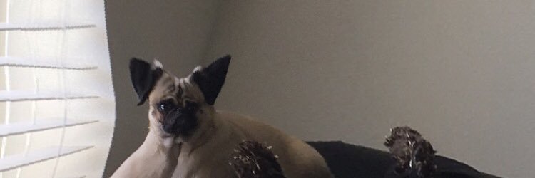 _abbymcclintock's profile banner image