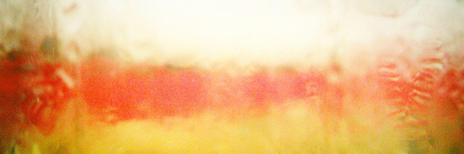 ndstweets's profile banner image