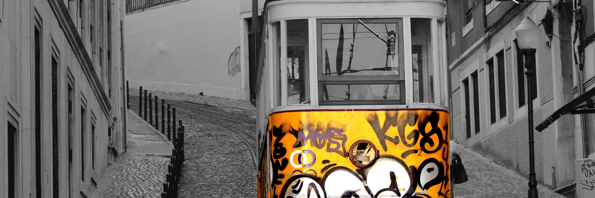 David Marques.ENJ 👽 banner