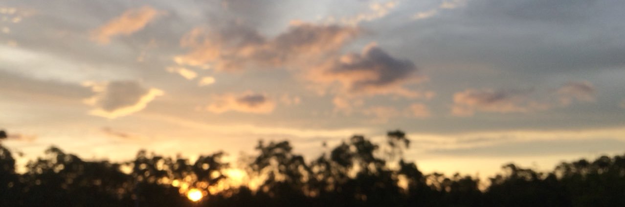 PineappleCat69's profile banner image