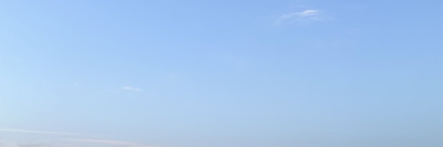 elisija993's profile banner image