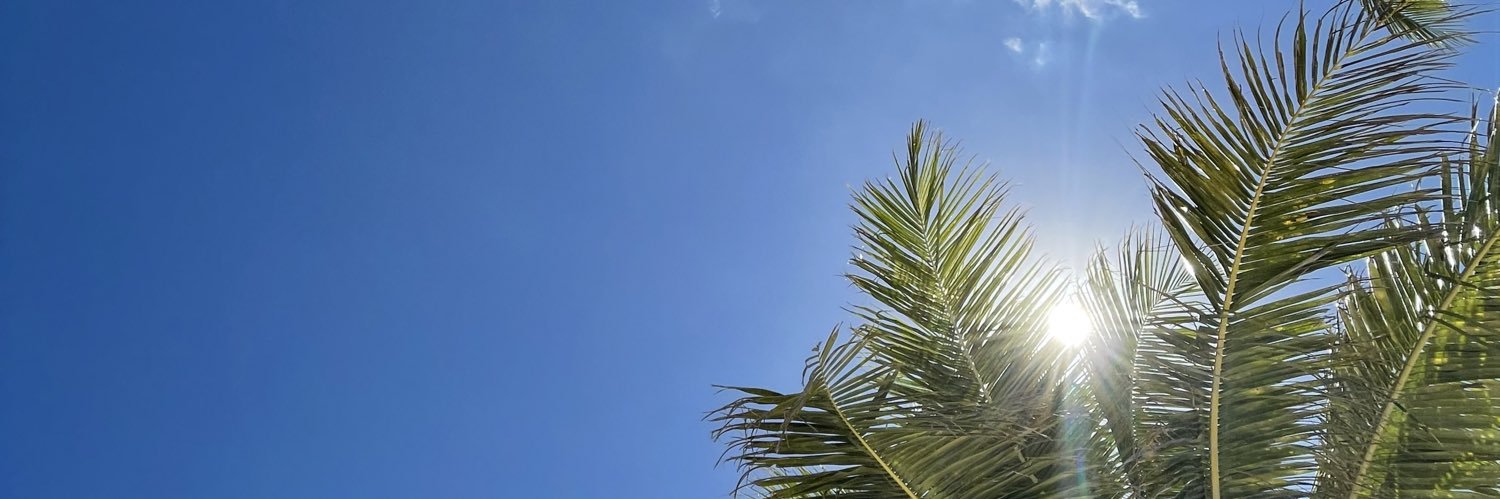 cecibt's profile banner image