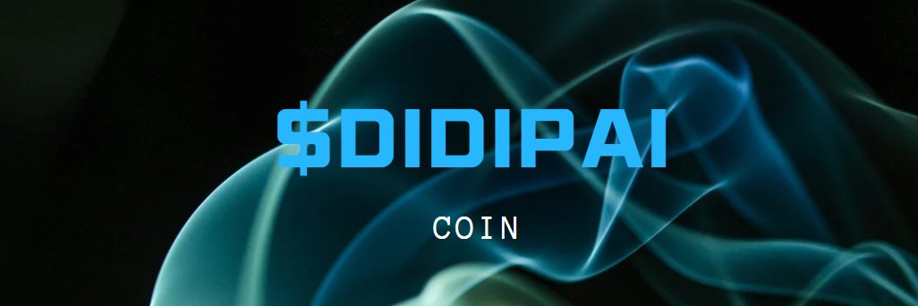 DIDIPAIcoin's profile banner image