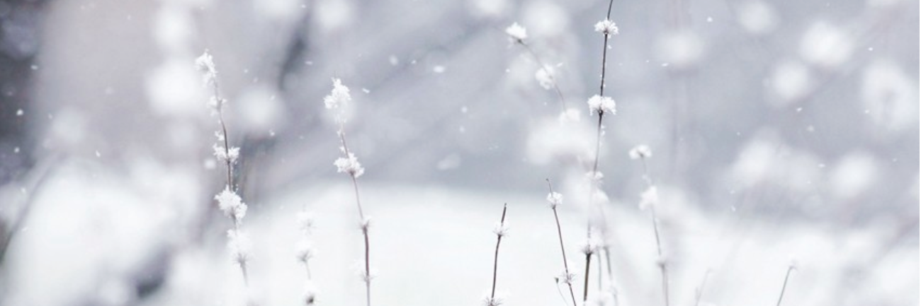 Marieke0030's profile banner image