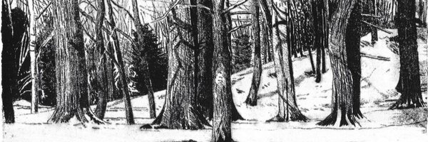 JeanEd70 Profile Banner