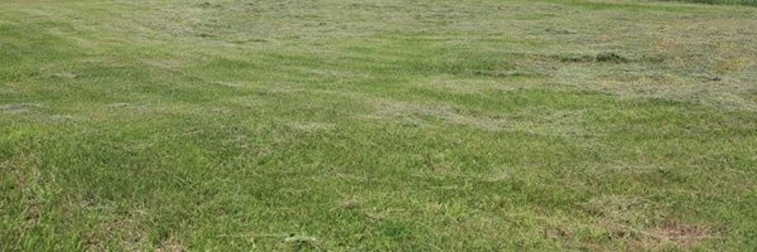 laststardust's profile banner image