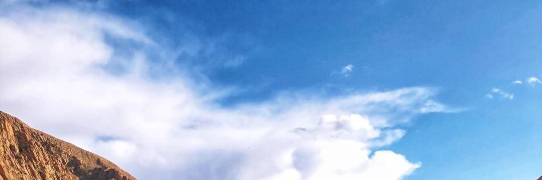 زغاب اللحوج والبدو والمجنسين والعبند banner