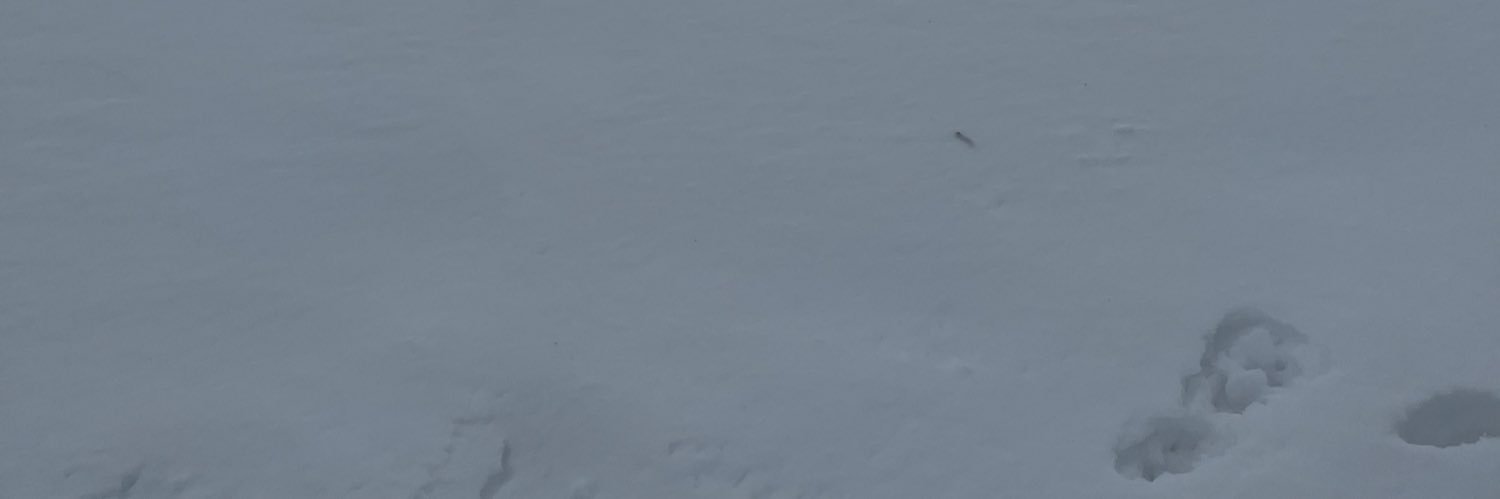 S3o6V's profile banner image