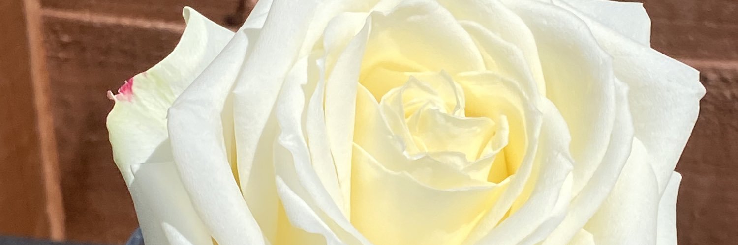 JoClarke71's profile banner image
