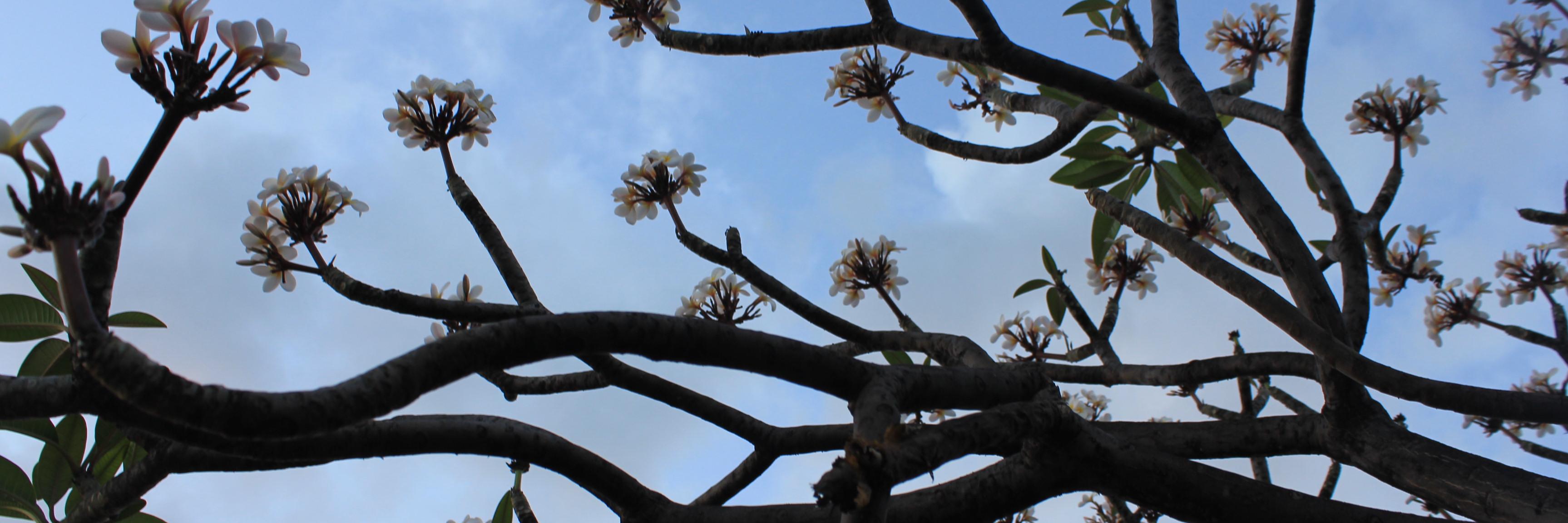 danieljfourie's profile banner image