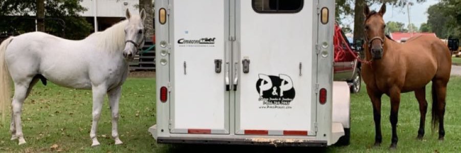 lilroachh's profile banner image