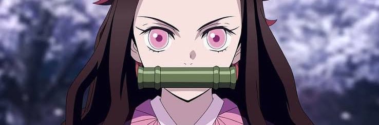 cmaestrada's profile banner image