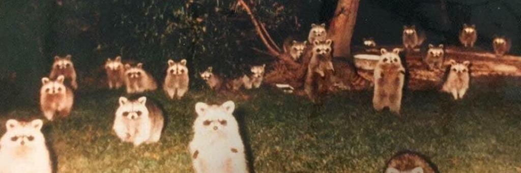 mensoh's profile banner image