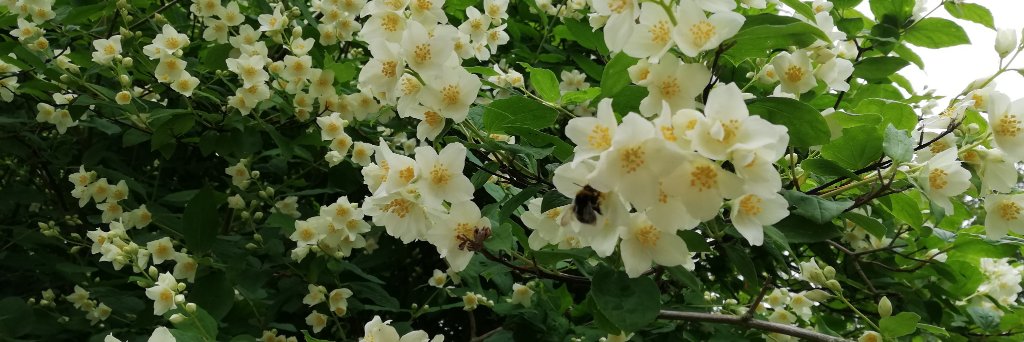 Ian Glendinning banner