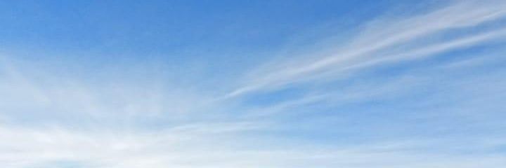 NHM312's profile banner image