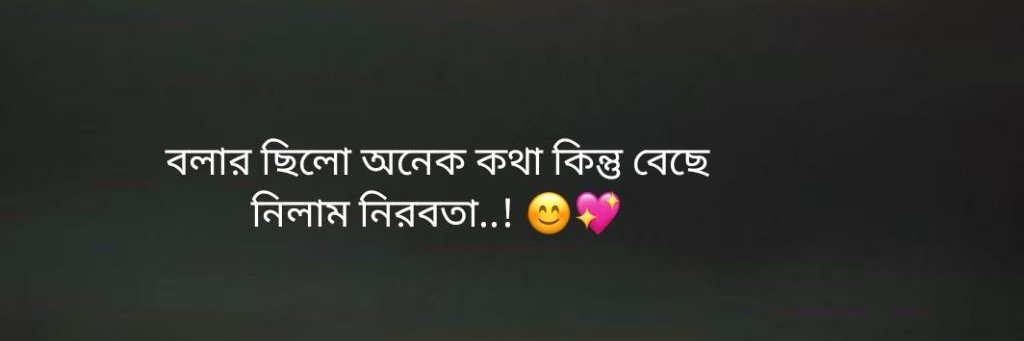 towhidbappi's profile banner image