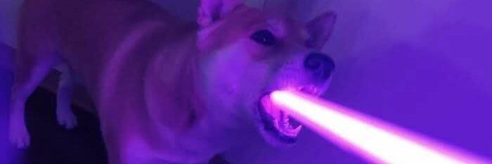 Daniel Anzaldo (Danz) banner