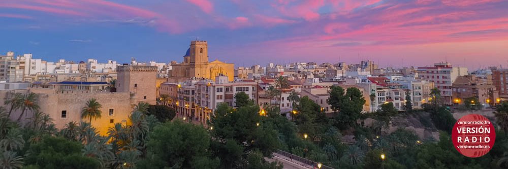 Javier Muñoz Climent banner