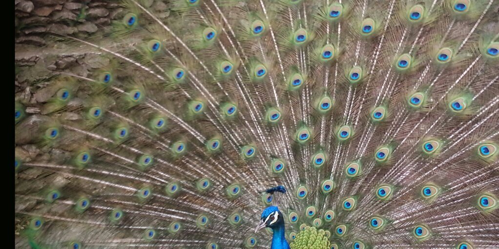 austenlyn's profile banner image