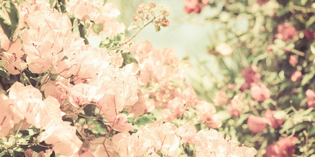 calistabjq's profile banner image