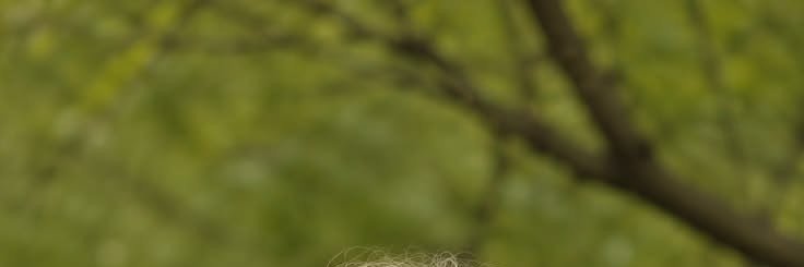 Sl_jl_'s profile banner image