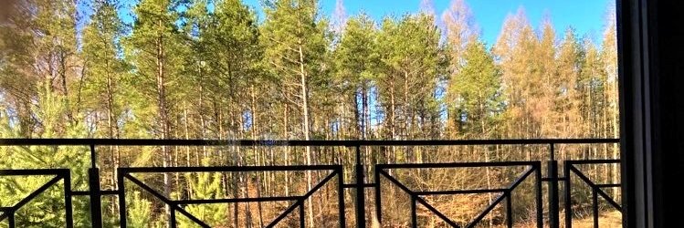 ryswit's profile banner image