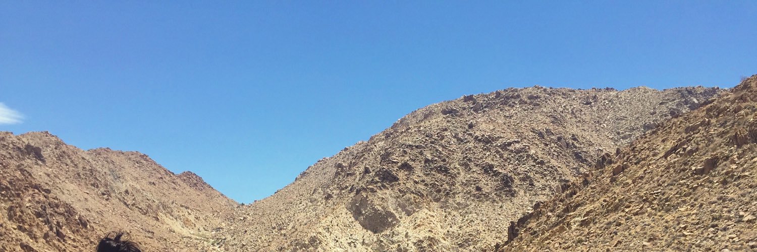 BritCoooper's profile banner image