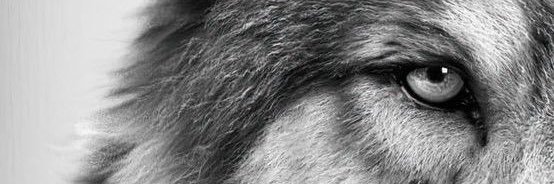 Mazinos20's profile banner image