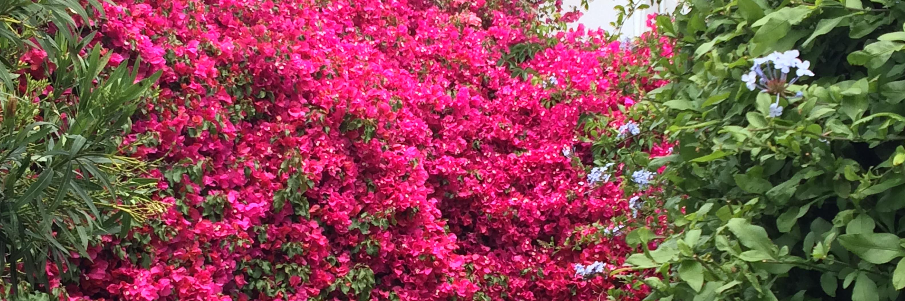 AudreySelden's profile banner image