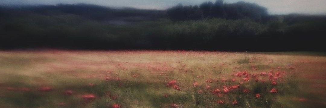 DARKING (❖,❖) banner
